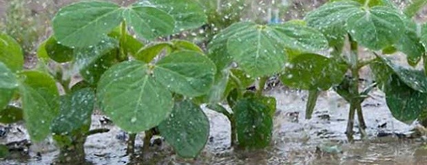 Se esperan acumulados de lluvia en torno a los 150 mm