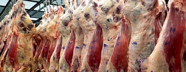 Una mayor exportación estabilizará el precio de carne