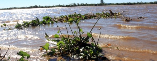 El Niño por sí solo no explica las crecidas del Paraná