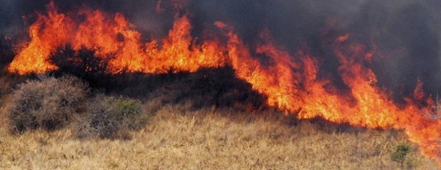 Prohíben realizar quemas en el territorio entrerriano