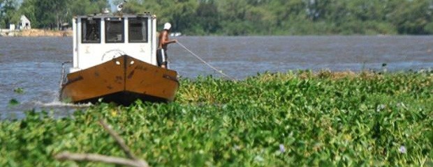 Baja el río Paraná en Entre Ríos pero aún hay evacuadas