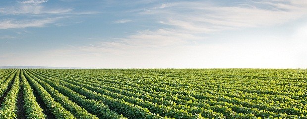 Lluvias sobre el sur del área pampeana