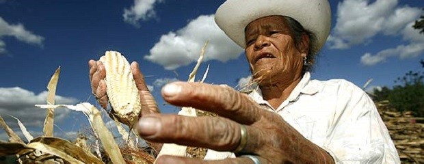 Con intenso debate, se realizó el Foro Campesino Mundial 