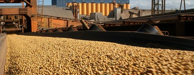 Argentina será el tercer procesador de oleaginosas del mundo