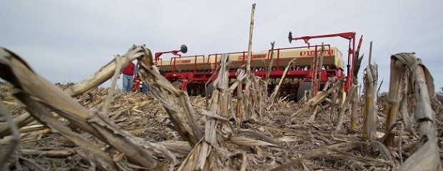 Avanza lentamente la siembra de trigo en Entre Ríos