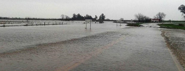 Analizan una prórroga de la emergencia agropecuaria