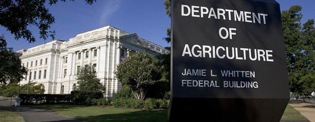 El informe del Usda sólo impactó positivamente en el trigo