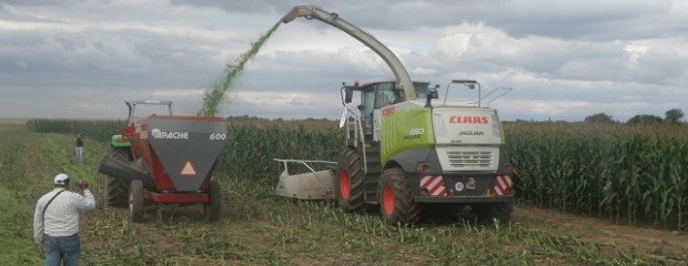 El campo busca trabajadores de perfiles muy variados 