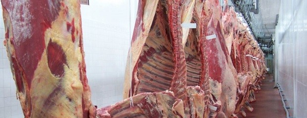 Chile analiza la posibilidad de exportar carne argentina