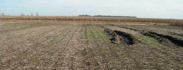 Otoño cálido con lluvias superiores al nivel normal