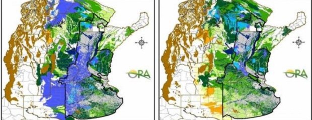 Excesos hídricos podrían complicar la soja