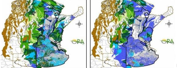 Excesos hídricos siguen predominando en el área sojera 