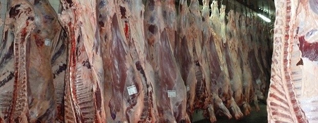 Exportaciones de carne bovina crecieron un 32% interanual