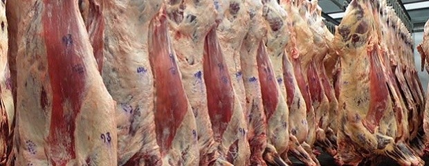 Carne, mejores márgenes de exportación impulsan envíos