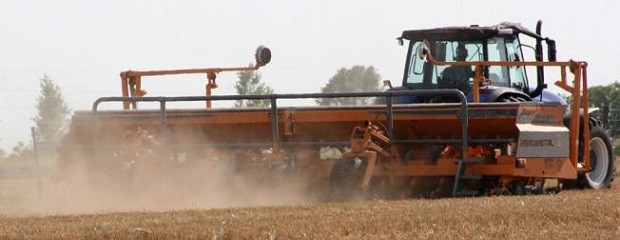 Trigo: pese a las lluvias,  ya se sembró el 35% previsto