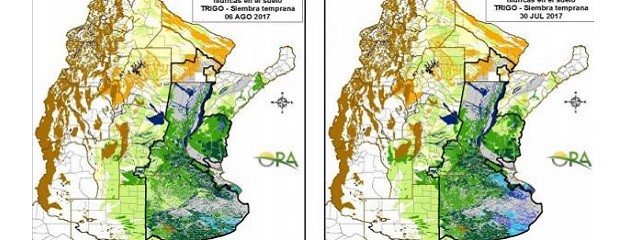 Excesos hídricos siguen afectando al este de Buenos Aires