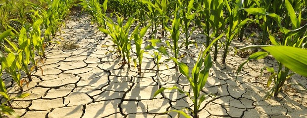 Los pronósticos a corto plazo no prevén lluvias 