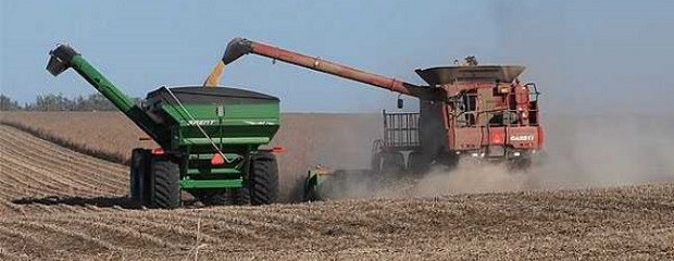 El USDA recortó en siete millones la  producción de soja 