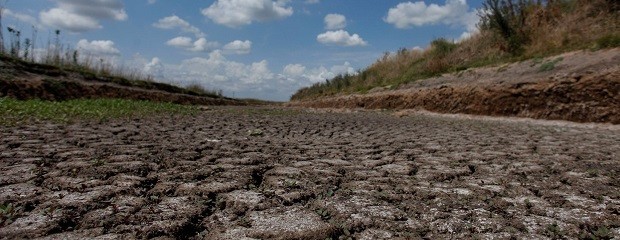 En la región pampeana la sequía no da tregua