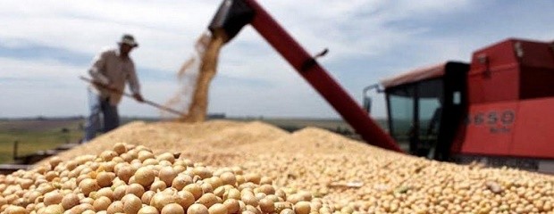 La producción de soja caería un 65 % en Entre Ríos