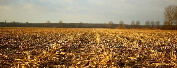 Se vienen vientos moderados y ascenso de temperaturas