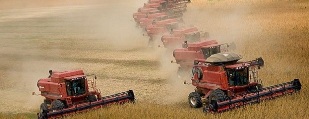 Argentina es el tercer país que más siembra transgénicos