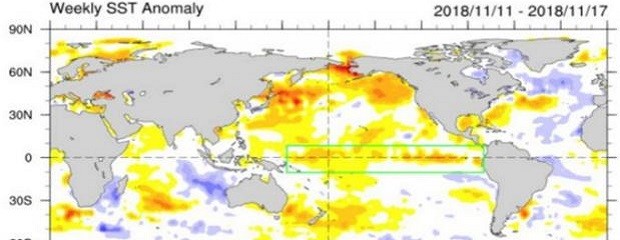 Clima: Estaríamos ante un Niño tardío