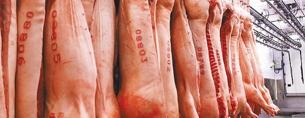 La exportaciones de carne de cerdo se triplicaron