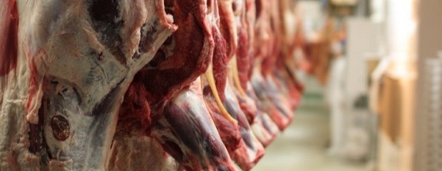 Se termina la media res, ¿sube el precio de la carne?