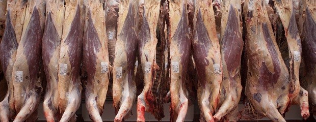 Exportaciones de carne bovina siguen en crecimiento