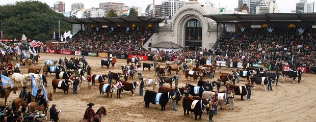 Qué actividades reúne la Semana de la Carne