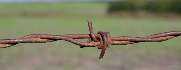 Gracias al campo, la economía creció 2,6% en mayo 