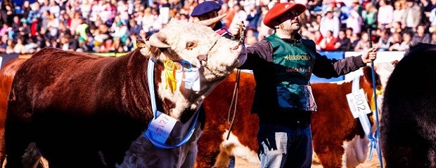 Que dejó la expo de Sociedad Rural Argentina