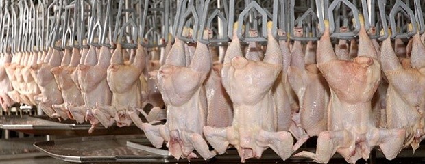 El consumo de pollo se equipara al de carne vacuna