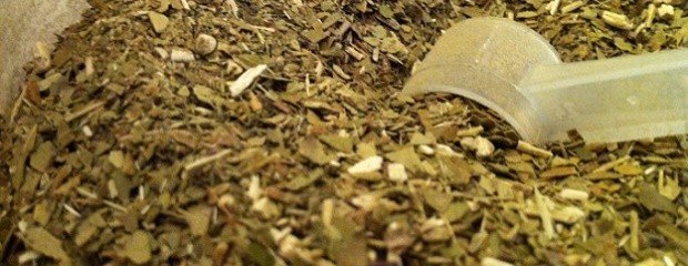 Argentina consumió 158 millones de kilos de yerba mate