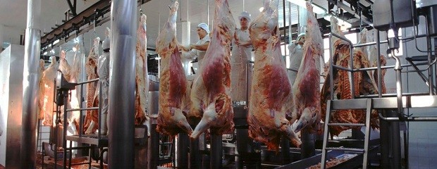 El Ipcva difunde la carne argentina en Estados Unidos