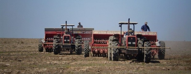 Puntos estratégicos para optimizar la siembra de arroz