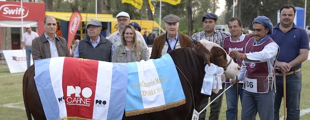 Con las ventas de Grandes Campeones,  cerró EXPOBRA