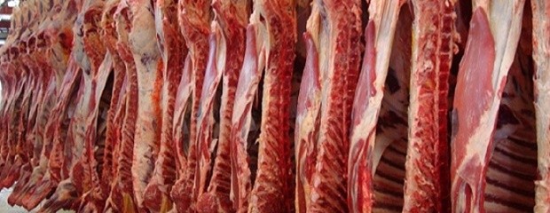 Aseguran que la carne aumentará en los próximos días