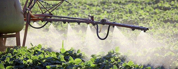 Ecologistas presentarán un recurso ante la Corte Suprema