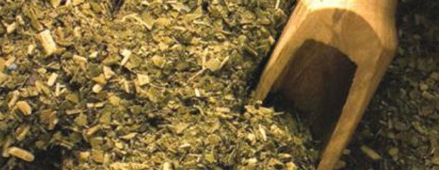 El consumo interno de yerba superó los 26 mill/kg en octubre