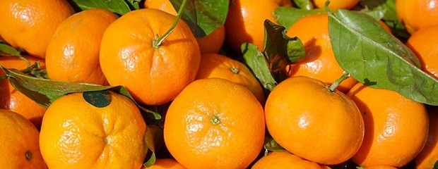 La cáscara de la mandarina, una aliada contra el colesterol