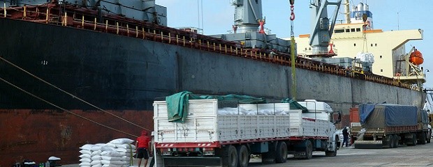 Concepción del Uruguay: carga madera de pino