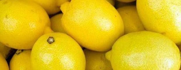 Nuevo mercado para la venta de limones 