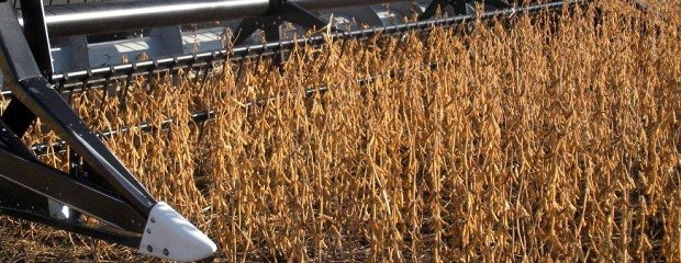 El peso de impuestos llega al 97% para producción agrícola