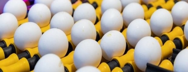 Aumentó 5% el consumo de huevos en 2019