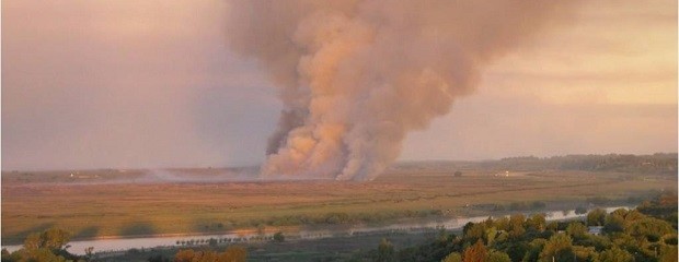 Incendios en islas entrerrianas generaron quejas en Rosario