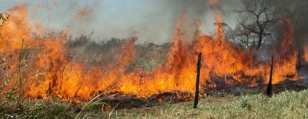 Piden identificar a dueños de campos donde hay incendios