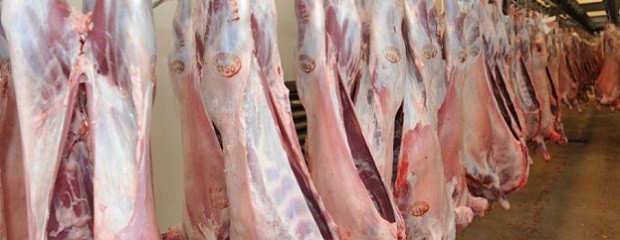 China abrió su mercado a la carne ovina patagónica 