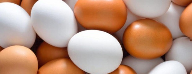 Coronavirus, por qué es importante consumir huevos